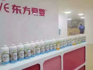 “東方愛嬰”大型除甲醛項(xiàng)目